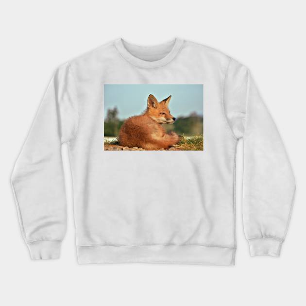 Alert Red Fox Kit Crewneck Sweatshirt by A Thousand Words Photography